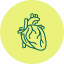 Enfermedad crónica del corazón (insuficiencia cardíaca congestiva, miocardiopatías)2