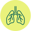 Las enfermedades crónicas de los pulmones, como la enfermedad pulmonar obstructiva crónica (EPOC), el enfisema y el asma5